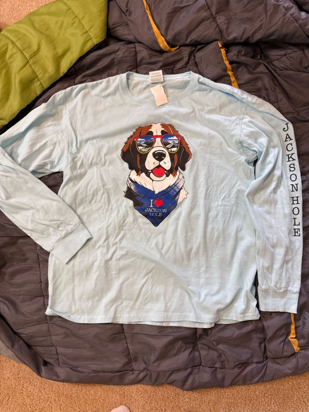 Light Blue Dog Graphic Long Sleeve Tee